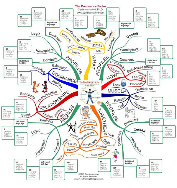 How Brain Dominance Shapes Your Child’s Learning — A Neurodevelopmental OT Perspective