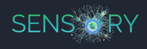 Sensory Therapy Place