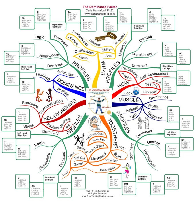 How Brain Dominance Shapes Your Child’s Learning — A Neurodevelopmental OT Perspective